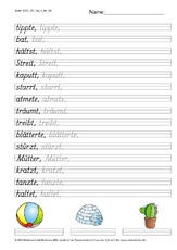 DSS_2S_Bu_t_Nr_08.pdf